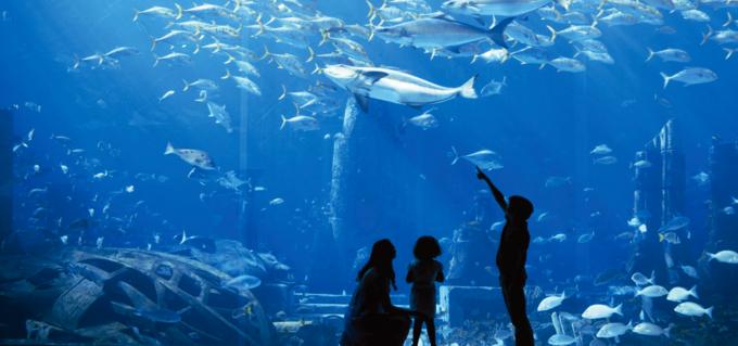 三亚最值得带孩子住的酒店,带孩子去三亚住哪个酒店推荐