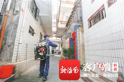 海南蚊虫防治用什么,防蚊灭蚊海南