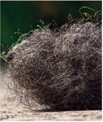 3d床垫值不值得购买,3d床垫价格怎么差这么多