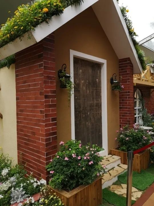 这个花展上的新优品种，为什么这么美？