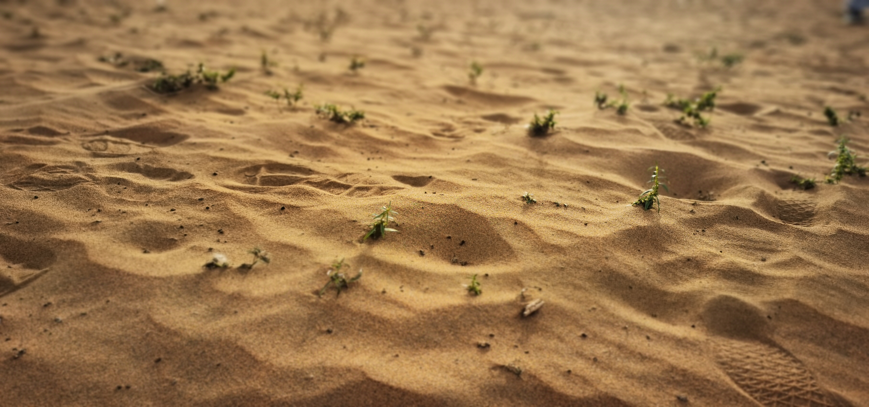 史上最“屈辱”沙漠——库布齐沙漠变形记