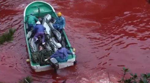 富二代晒骨皮包的残忍真相,人骨皮包的真相