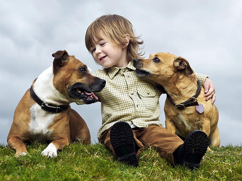儿童益智思维学习3-6岁游戏,儿童益智启蒙早教游戏3-6岁