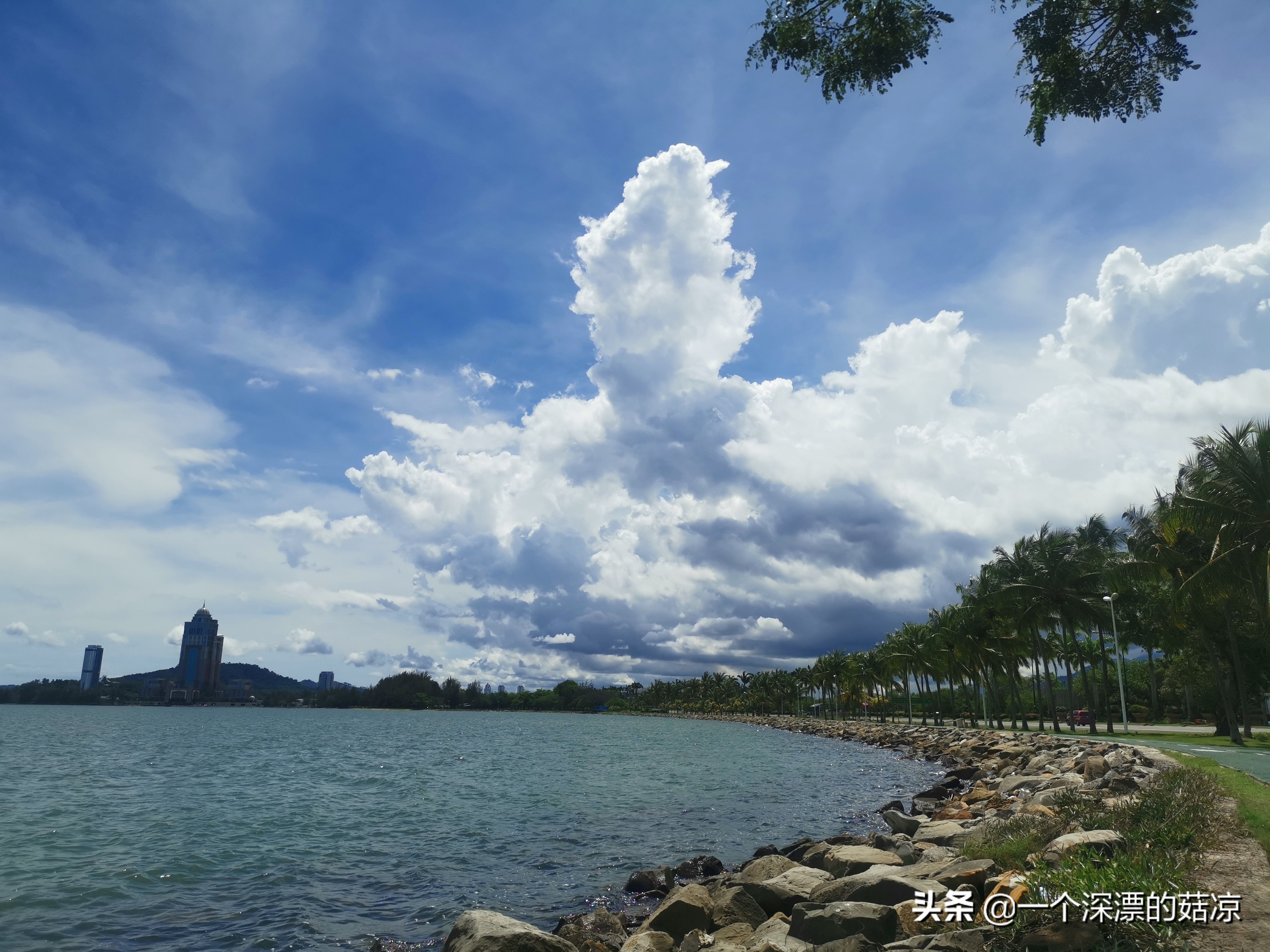 在夏天结束前去海边,在夏天结束之前去一次海边