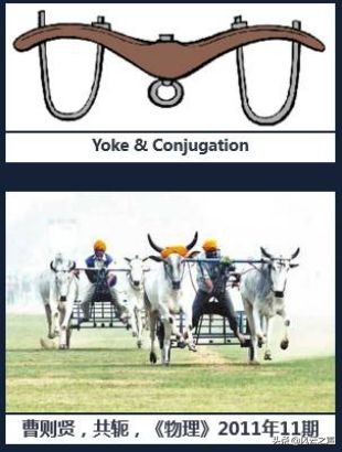 曹则贤算得上物理学家吗,张朝阳对话物理学家曹则贤