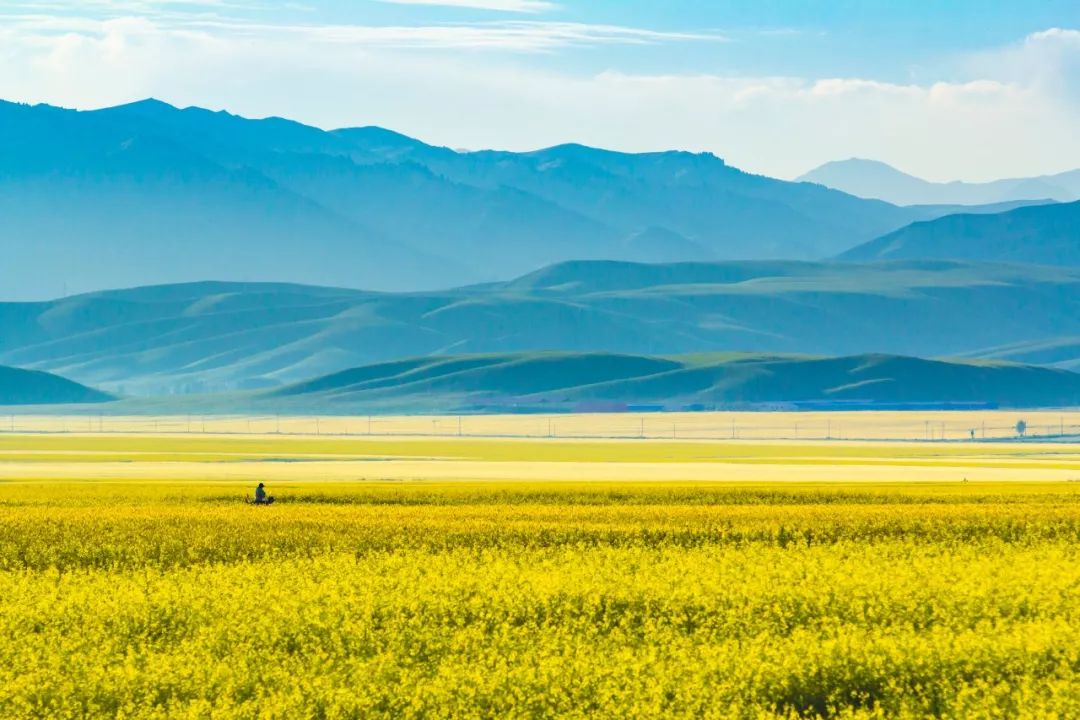 涓嶈兘鍘诲鍦扮殑鐞嗙敱,浜旂浜轰笉鑳藉幓鐤嗗唴鏃呮父