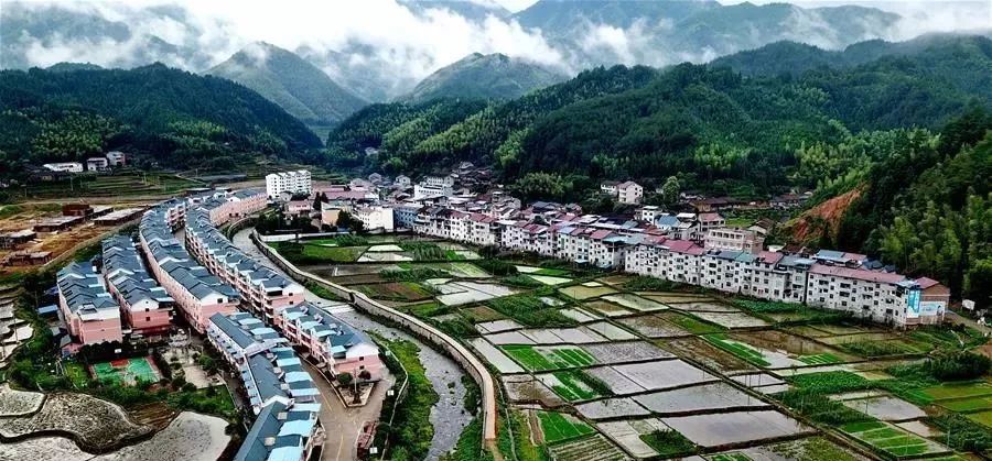 国家乡村振兴战略规划第二个五年,乡村振兴战略规划公立性卫生室