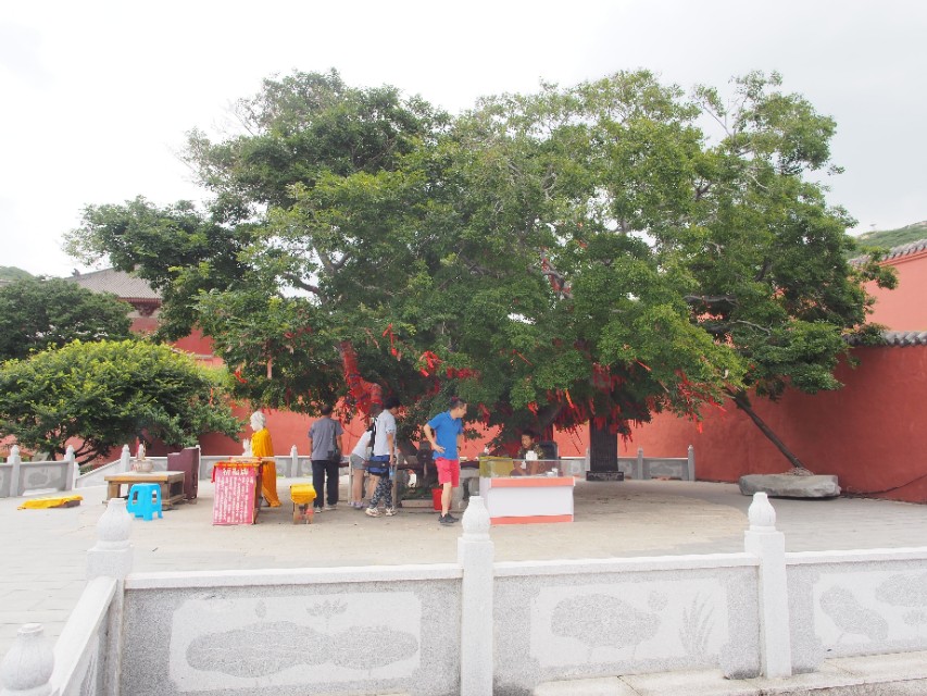 辽宁省兴城市菊花岛,辽宁兴城觉华岛