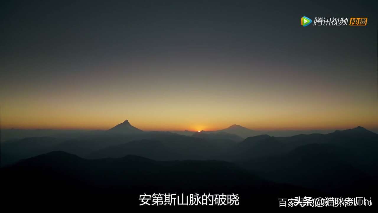 这种动物，你讲出它的名称，你是我尊敬优秀的粉丝