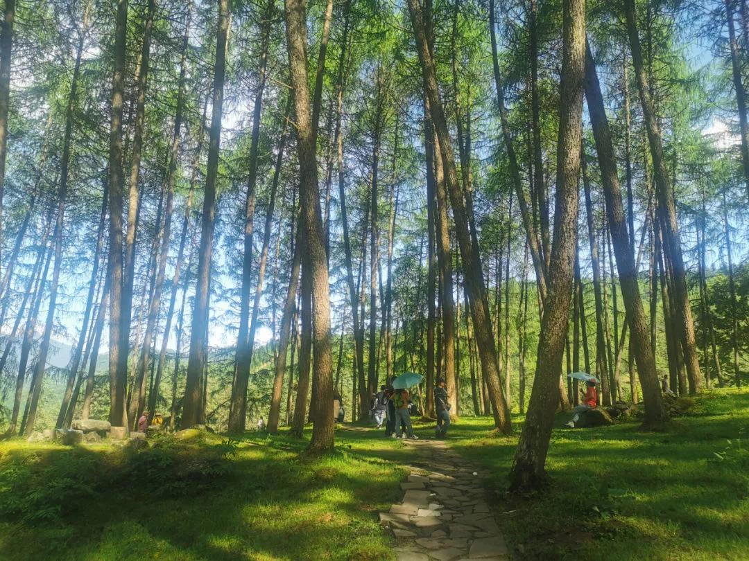 宝兴定制客运网约车,雅安宝兴车站