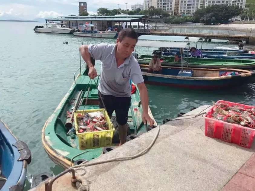 国内哪个海边赶海可以捡到贝壳,捡贝壳赶海好去处