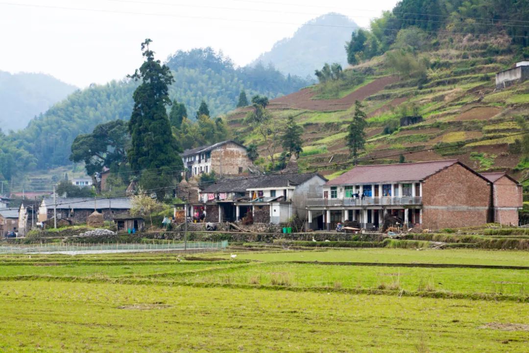 探访悬崖峭壁,大峡谷绝壁长廊