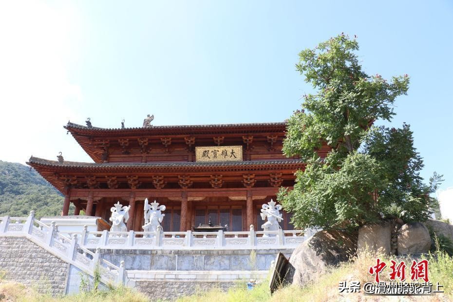 中国五大少林寺排名,中国五大禅宗寺院