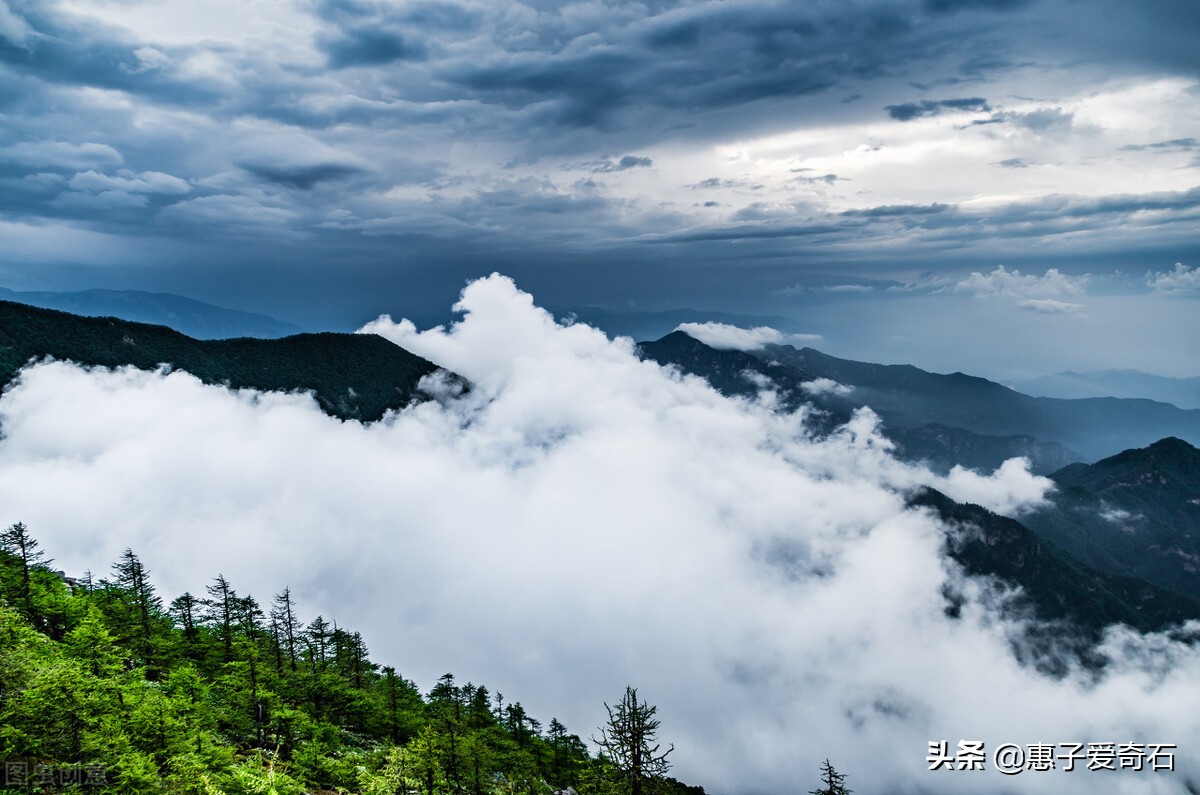 陕西渭河最好奇石图片大全,最贵的金丝玉奇石