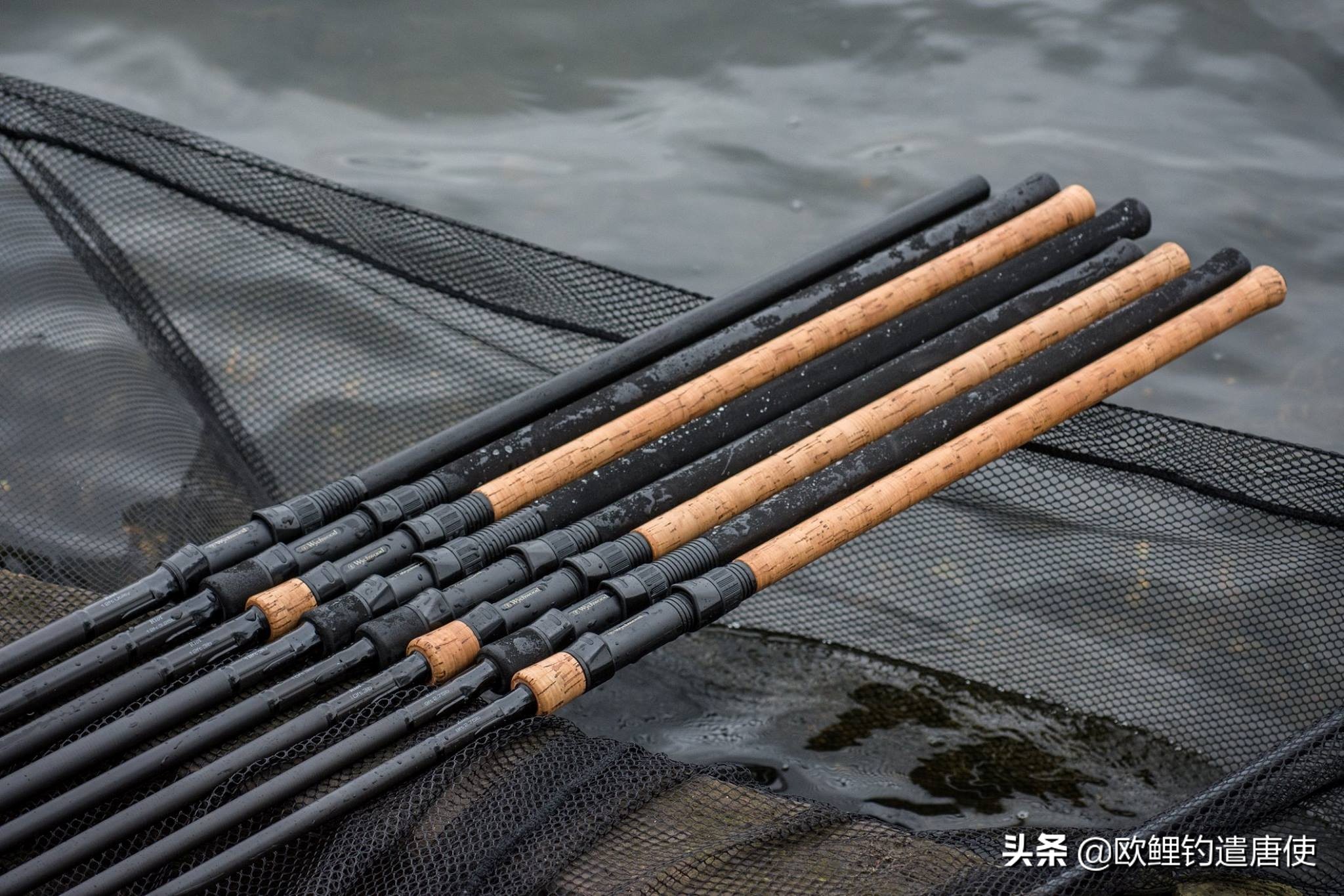 欧鲤钓竿买多长合适呢,欧鲤钓竿全套装备推荐