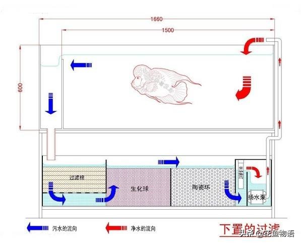 底滤鱼缸过滤原理及常见问题,底滤板气动过滤原理