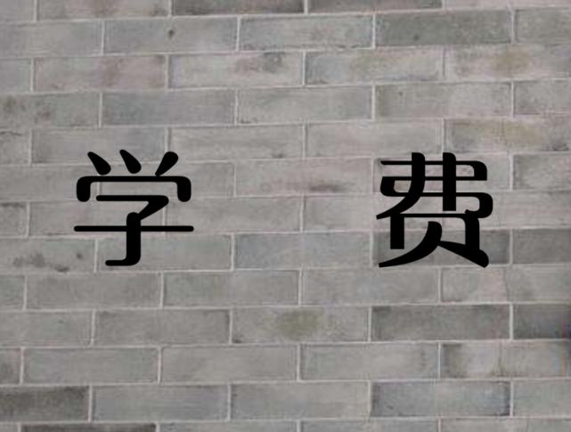 民办大学真的有必要读吗,民办大学真的不值得读吗