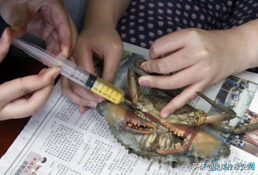 朋友圈十大谣言,朋友圈10大谣言您信了吗