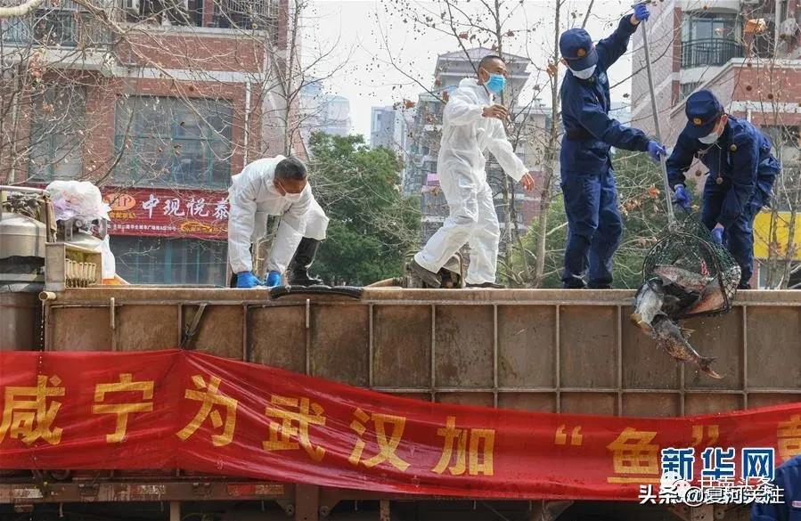 风雨无阻向前进抗疫之歌歌词,风雨无阻抗击疫情人人有责