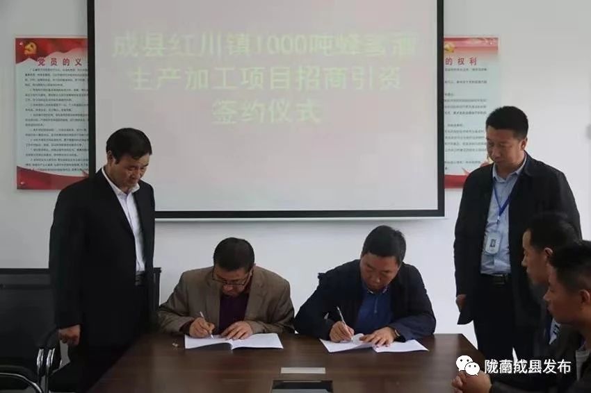 乡镇推动传统产业提档升级,推动优势产业发展壮大提质升级