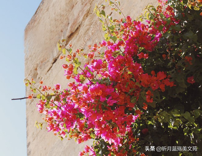 往后余生要释怀,学着释怀往后余生好好爱自己