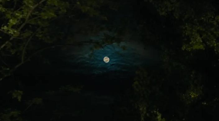 春江水暖高清图,春江水暖作品图片