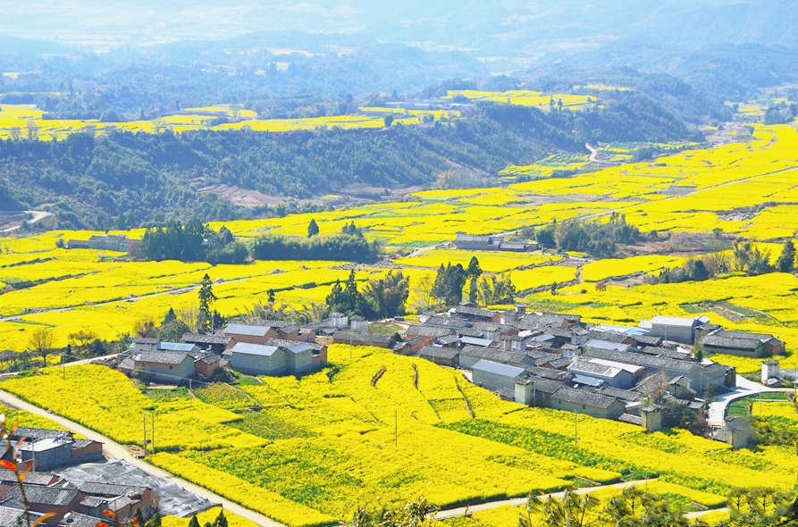 腾冲瑞丽芒市之旅,大美腾冲瑞丽游