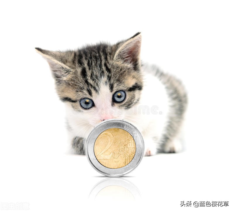 excel中利用公式计算平均购买金额,excel的万元公式