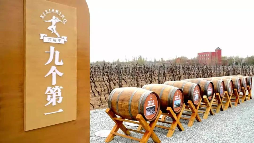 贺兰山东麓葡萄酒列级庄,贺兰山东麓十大酒庄