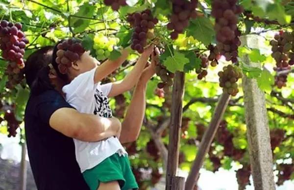 在长沙生活真实感受,在长沙生活你才知道的事