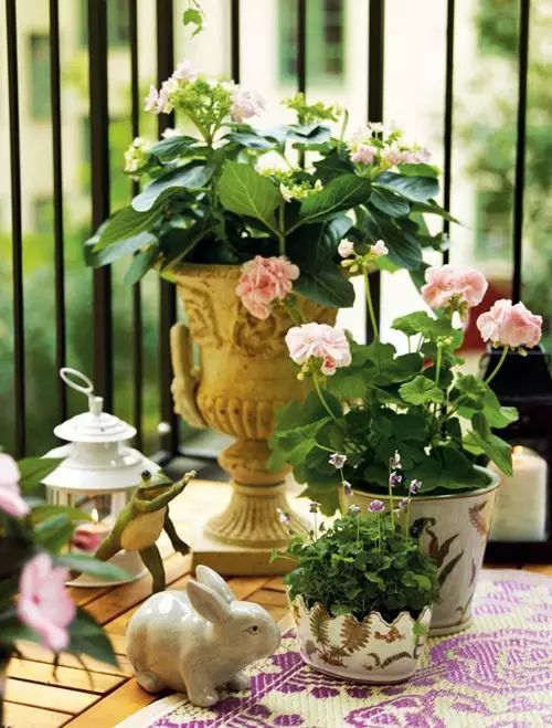 阳台打造成小花园超好养,阳台打造成小花园