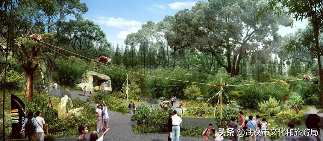 武汉动物园哪一个更好玩,九峰森林动物园与武汉动物园