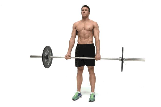 臀部练习真的能从扁平变成翘臀吗,怎么锻炼臀肌和臀部