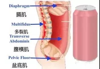 瑜伽呼吸核心一直是收紧的吗,瑜伽背后的感悟