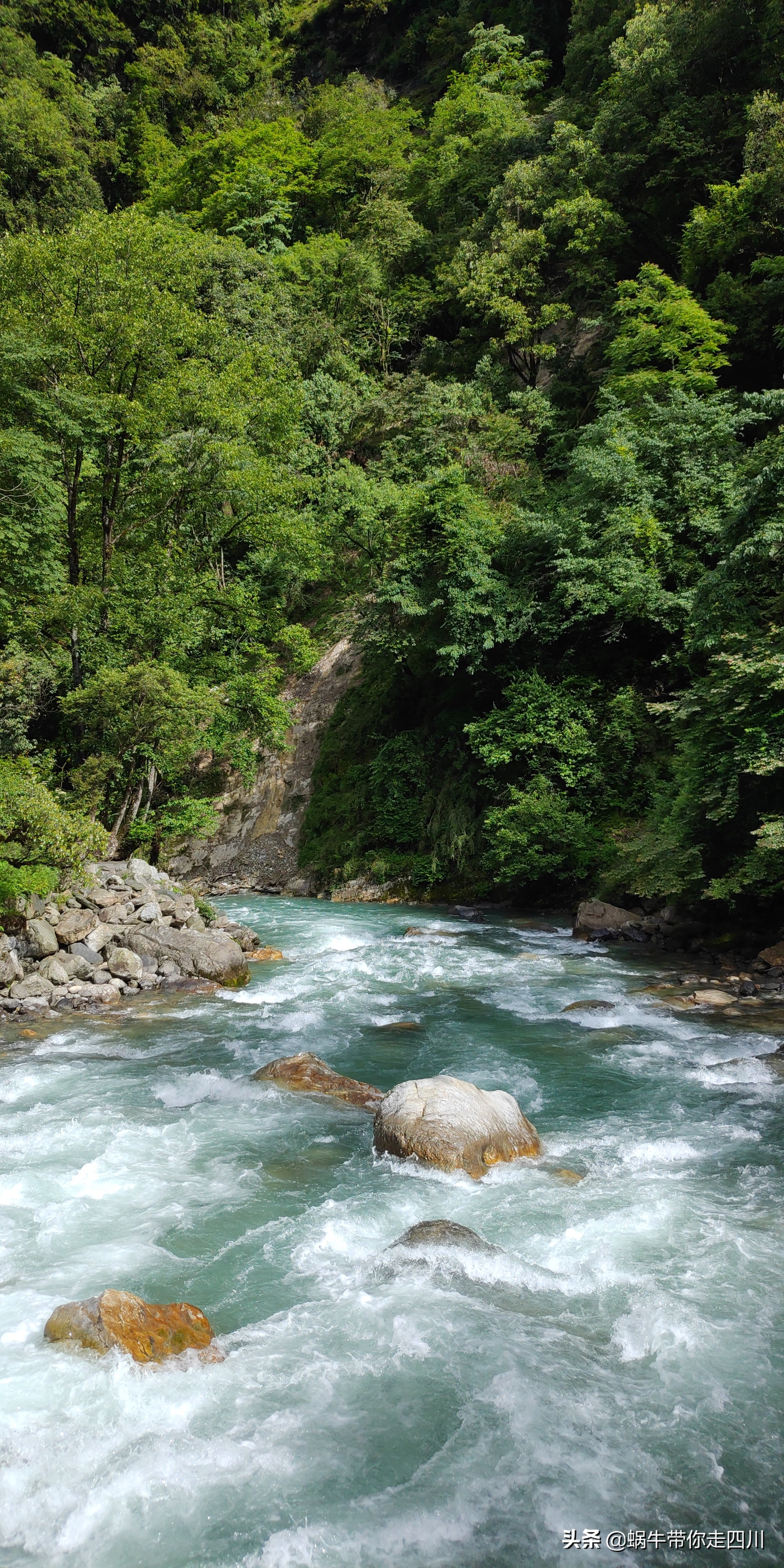 带小朋友出去看小动物,带小孩去海洋动物园