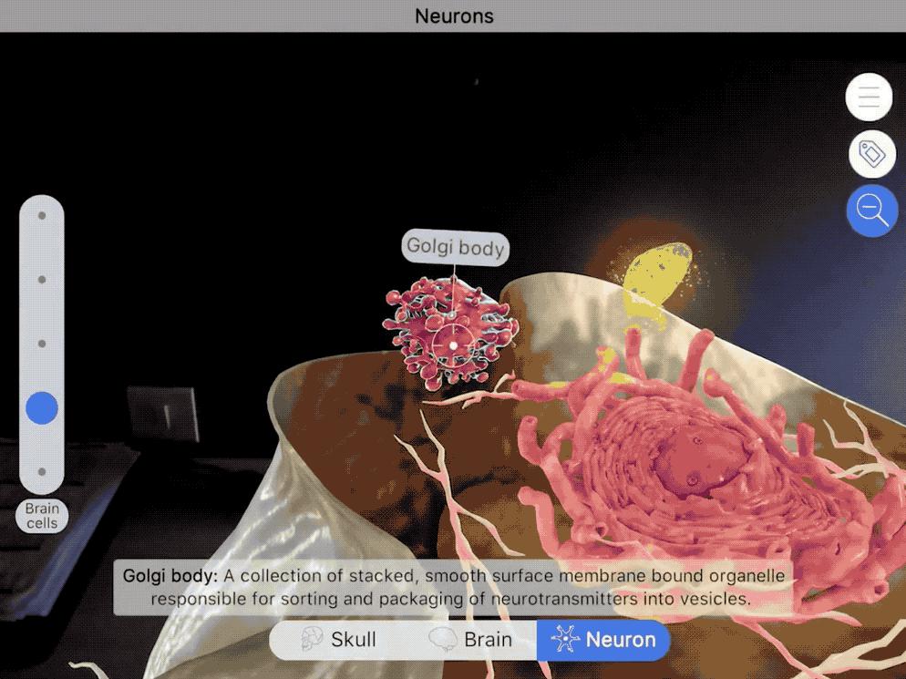 平板上用的小学生学习app,ipad能下载国家中小学生教育平台