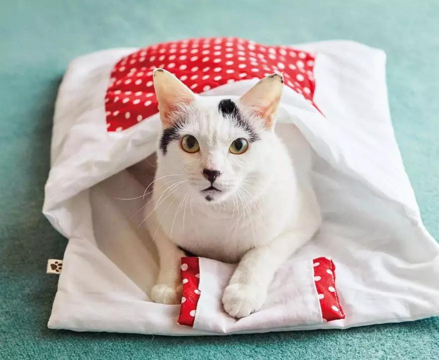 吸一口就爽到!让900万猫奴直呼过瘾的文创店,我真的服了