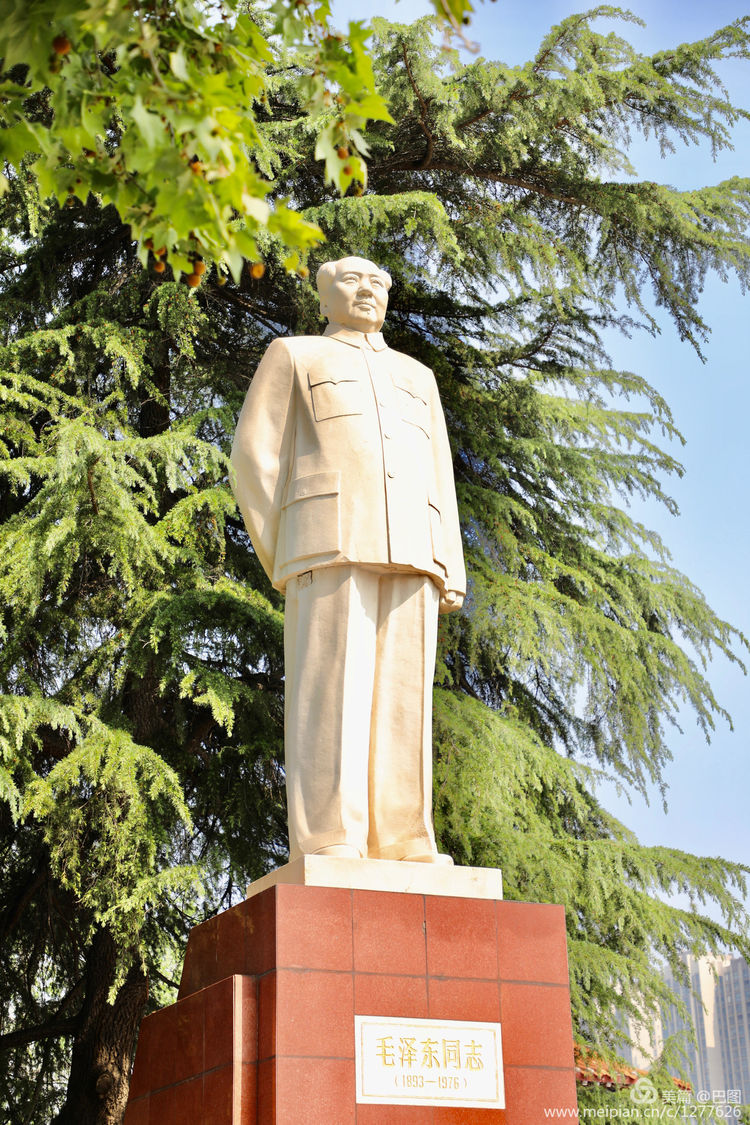 看洛阳牡丹花卉节,洛阳古都牡丹花展