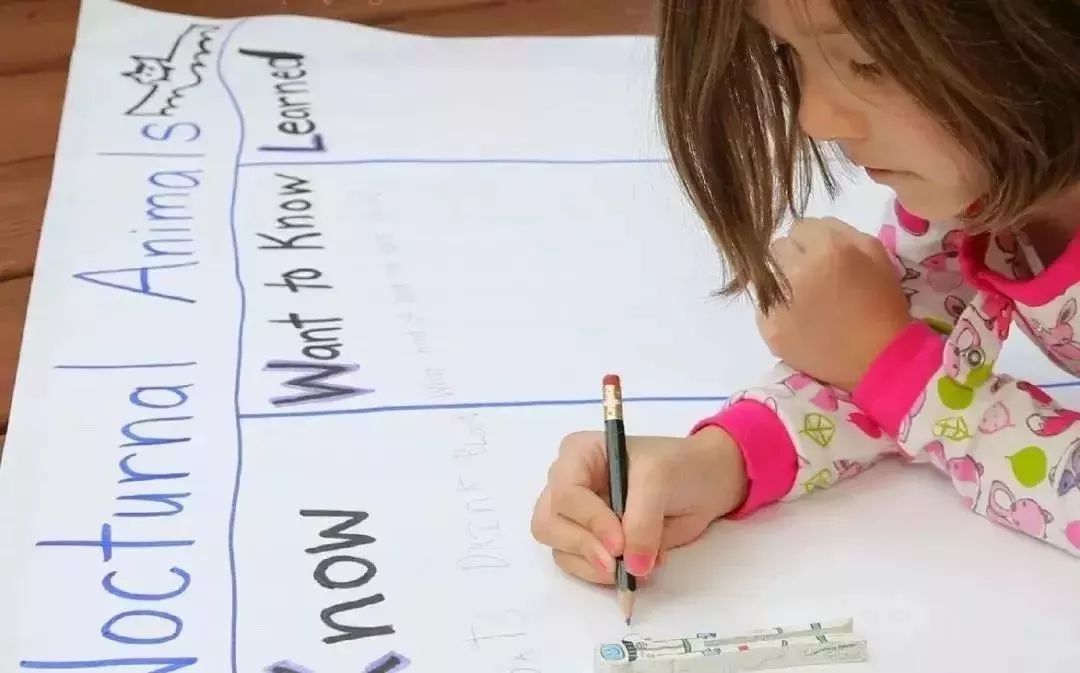 神奇树屋有几个版本,神奇树屋讲的什么