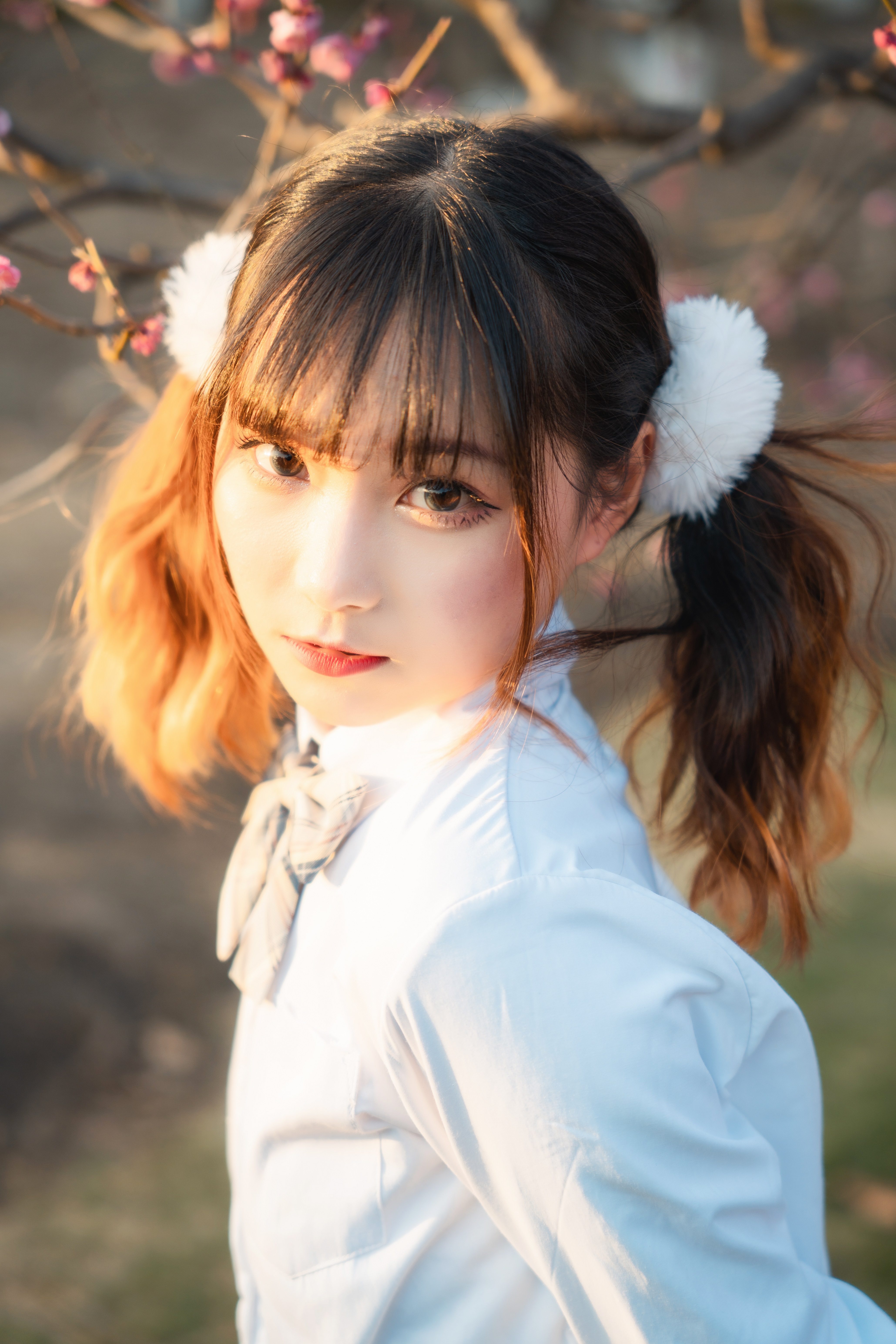 适马24-702.8二代镜头测评,适马新出的24-702.8镜头怎样