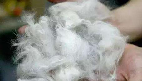 狗狗换毛季秃了,狗狗换毛期身上长斑怎么回事