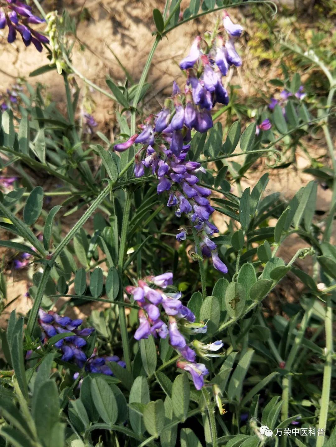 跟我回家在线免费看,跟我回家免费看