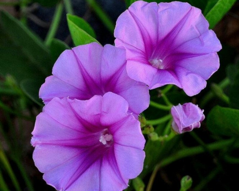 普通老百姓平常家庭怎么理财更好,普通百姓怎么理财