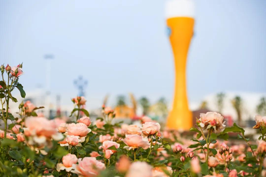 青岛西海岸金沙滩啤酒城,青岛金沙滩啤酒城简介