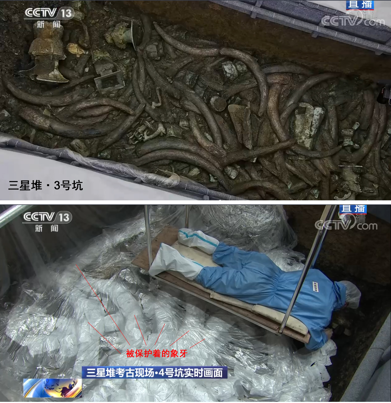 三星堆千问玄圭,三星堆象牙处理成难题为什么