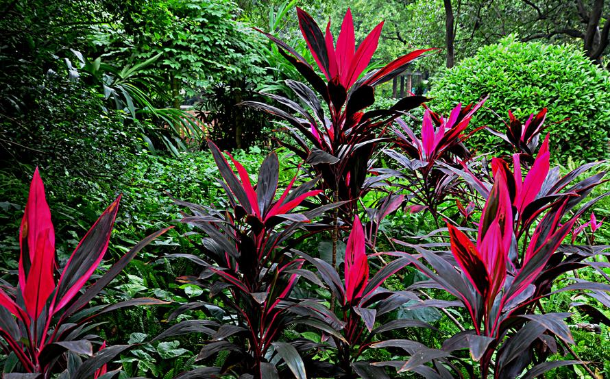 户外拍摄三脚架多高合适,为什么不能用三脚架拍摄