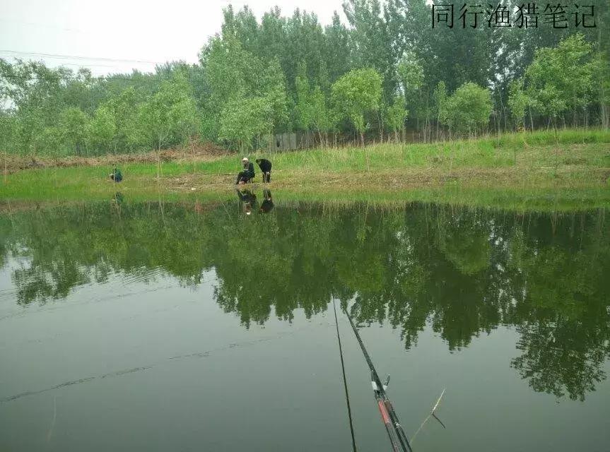 钓鱼记录2019,最新的钓鱼日记