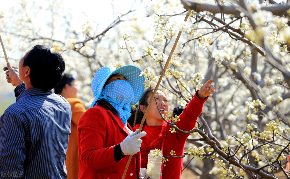 运城市十三县市有哪些,运城十三个县市有哪些