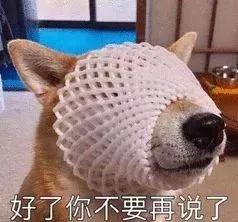 2018年乐山市城区平均收入,2020年乐山旅游收入数据