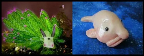 巨型埃及艳后风筝,埃及艳后风筝提线绑法